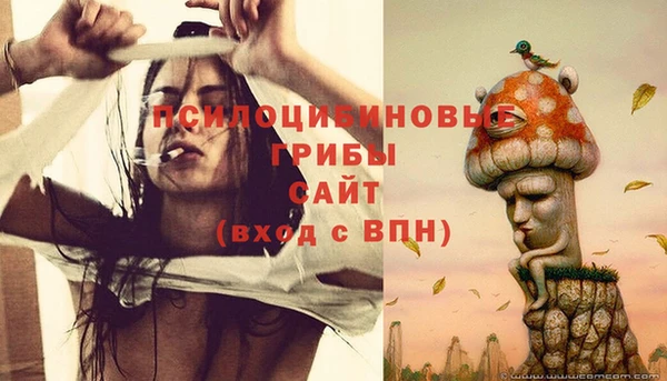 ГАЛЛЮЦИНОГЕННЫЕ ГРИБЫ Абаза