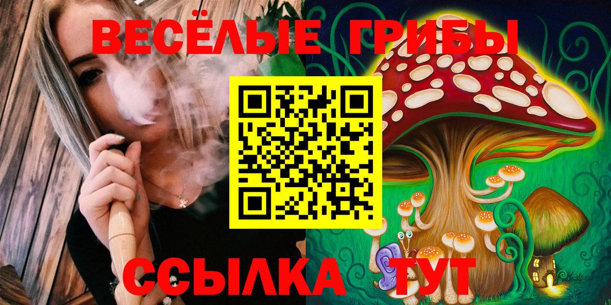 Приморско-Ахтарск  Псилоцибиновые грибы мицелий  как найти наркотики  Вход с VPN  Галлюциногенные грибы прущие грибы 