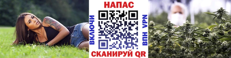 Канабис VHQ  это официальный сайт  Приморско-Ахтарск 