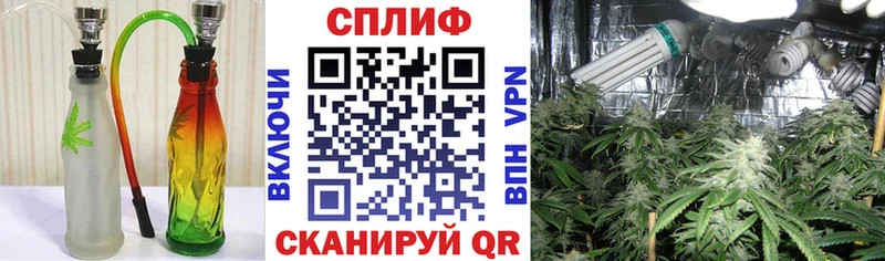 Шишки марихуана OG Kush Приморско-Ахтарск